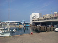 幻の高級魚クエ　壱岐では延縄漁で狙います！ 
